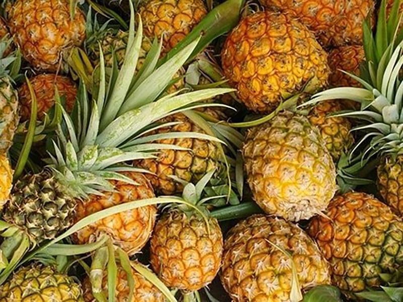 cá lăng kho khóm (hình 3)