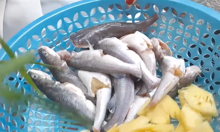 cá lăng kho khóm (hình 4)