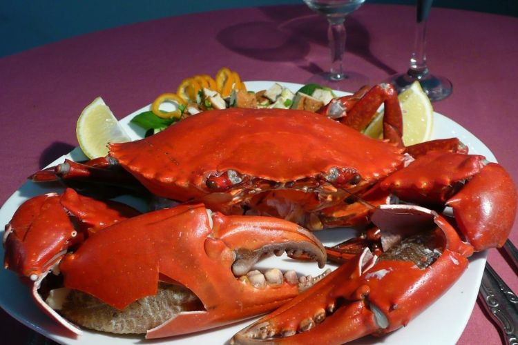 Cách nấu cháo cua cho bé 7