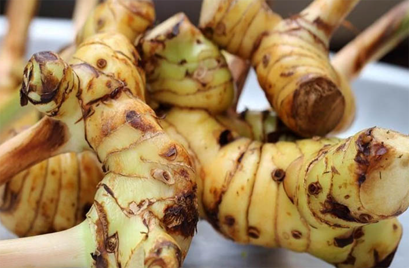 Cách nấu lẩu ốc bươu chua cay (hình 3)