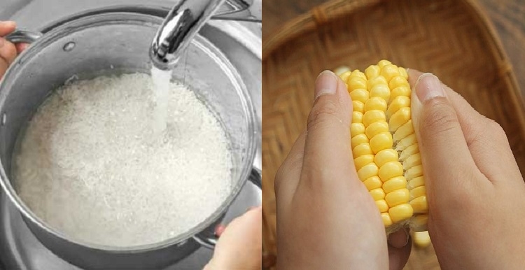 Cách nấu xôi bắp Mỹ bằng nồi cơm điện (Hình 3)