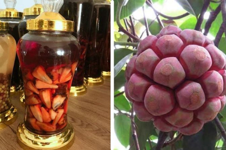 Cách ngâm rượu nho rừng hình 6