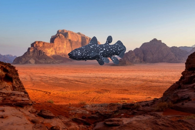 Cách nuôi cá ảo trên màn hình máy tính ảnh 6