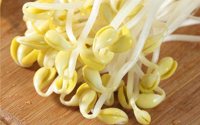 Cách phát hiện giá đỗ ngâm hóa chất ảnh 8
