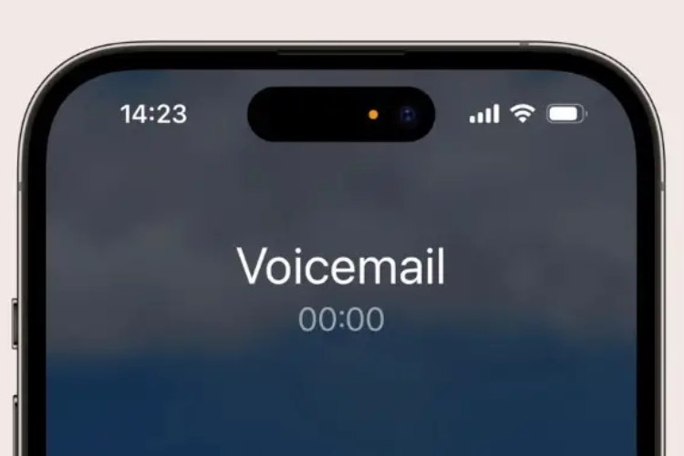Cách phát hiện ứng dụng theo dõi vị trí iPhone hình 6