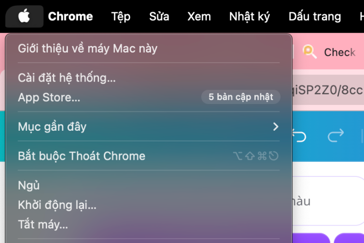 Cách reset MacBook Air M5 hình 2