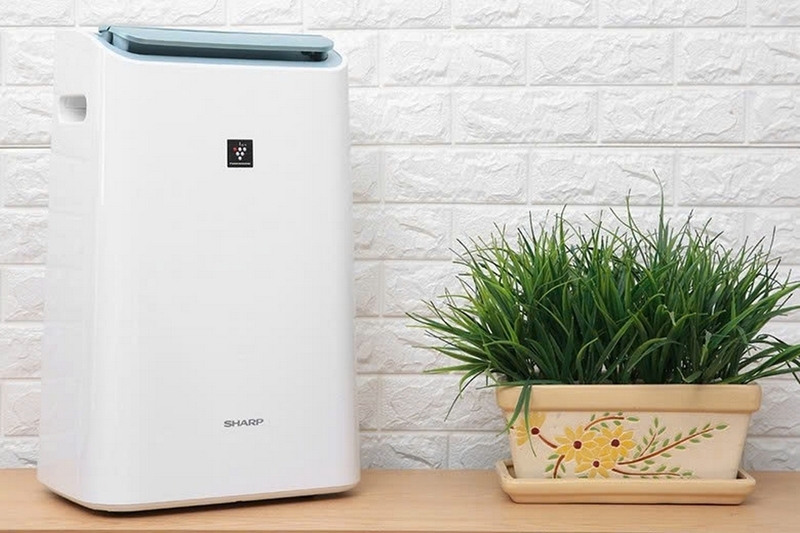 c&aacute;ch reset m&aacute;y lọc kh&ocirc;ng kh&iacute; Sharp h&igrave;nh 1