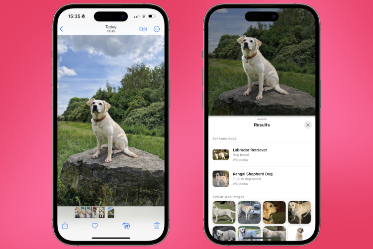 Cách tắt chế độ xem trước toàn màn hình trên iOS 26 hình 6
