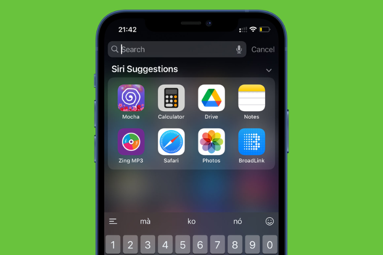 Cách tìm nhanh một ứng dụng trên iPhone hoặc iPad hình 4