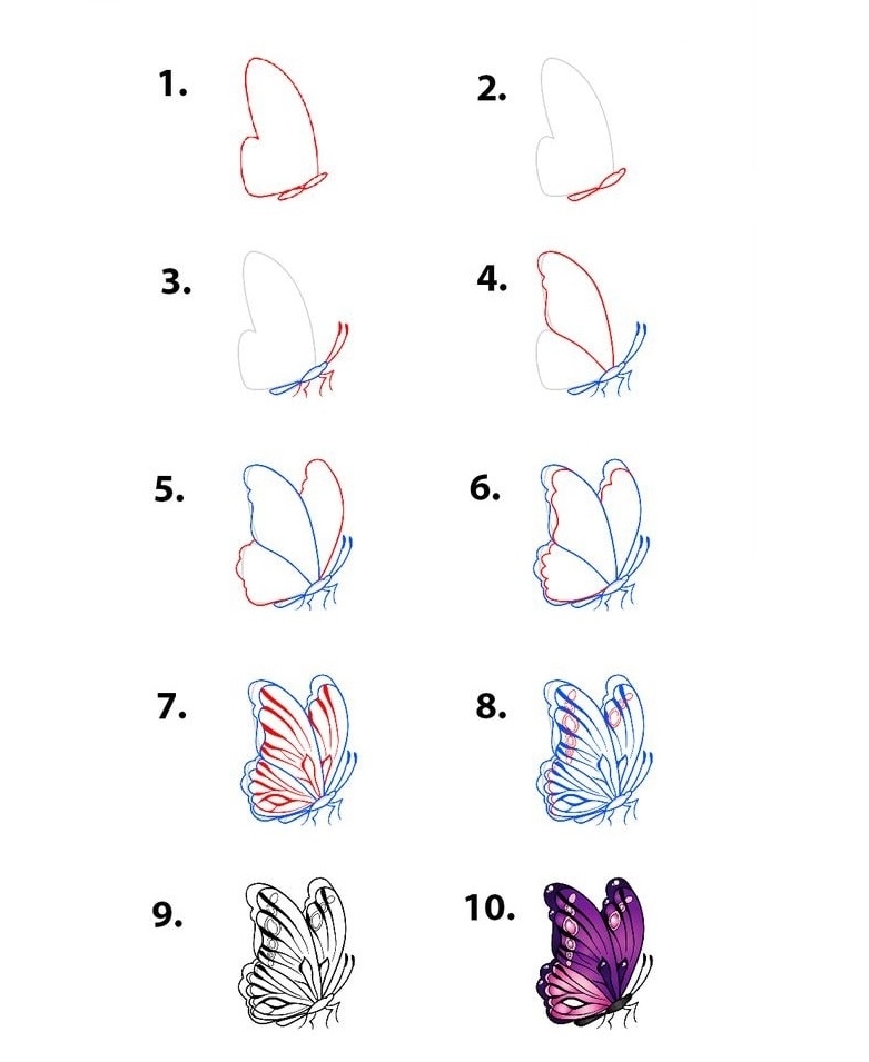 cách vẽ con bướm 10