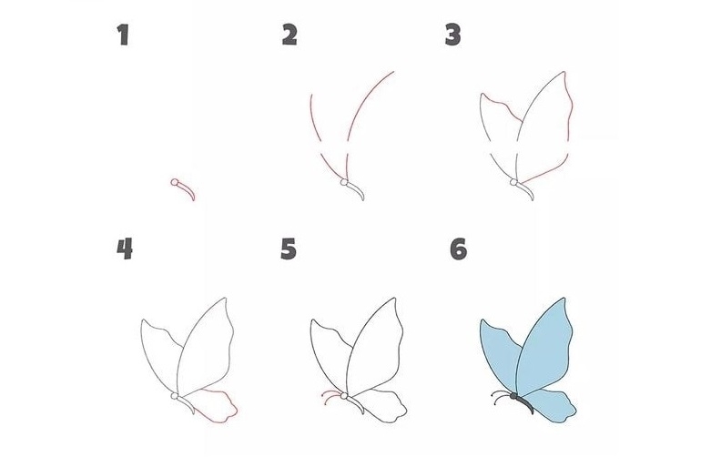 cách vẽ con bướm 12
