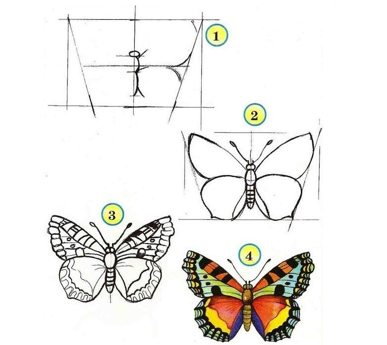 cách vẽ con bướm 13