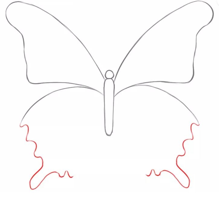 cách vẽ con bướm 6