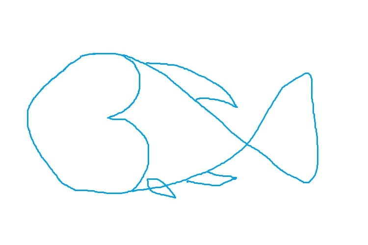 cách vẽ con cá 12