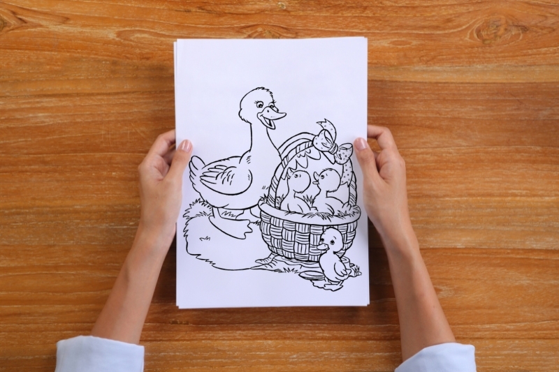 Vẽ vịt mẹ và bầy con vịt trong rổ