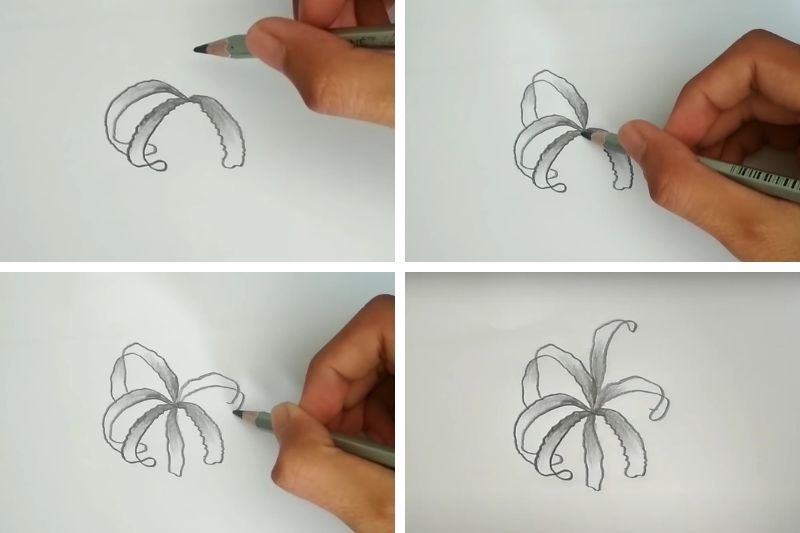 Cách vẽ hoa bỉ ngạn ảnh 3
