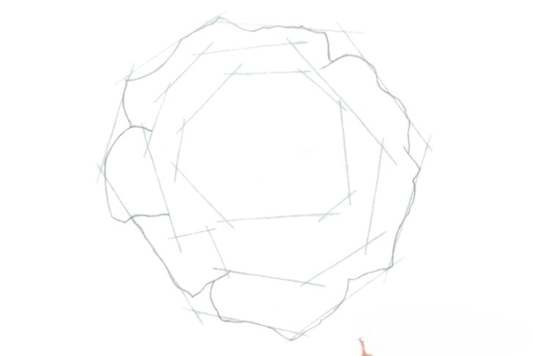 Cách vẽ hoa hồng (ảnh 19)