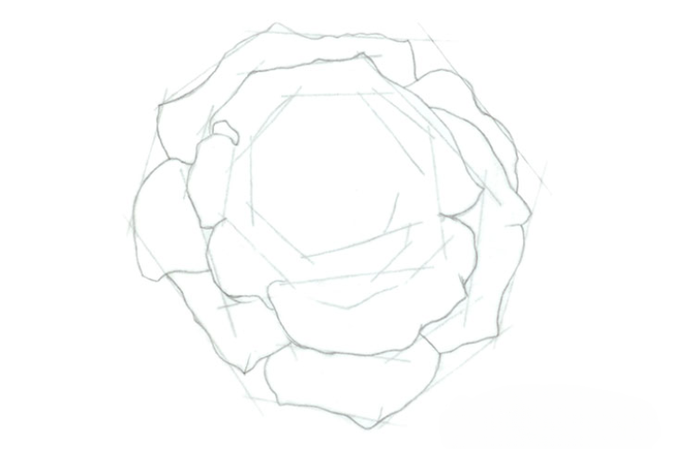 Cách vẽ hoa hồng (ảnh 20)