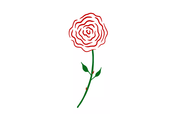 Cách vẽ hoa hồng (ảnh 4)