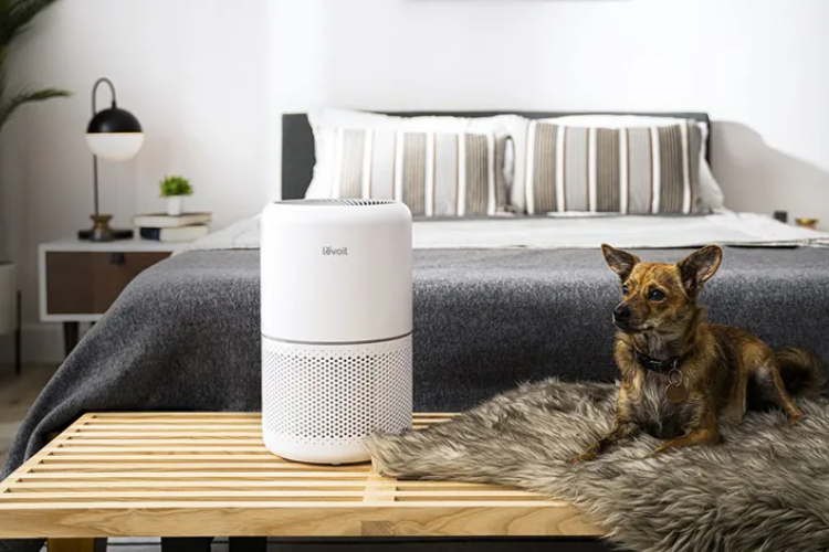 Cách vệ sinh máy lọc không khí Levoit hình 3