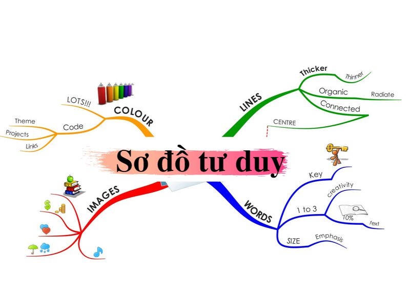 so do tu duy la gi