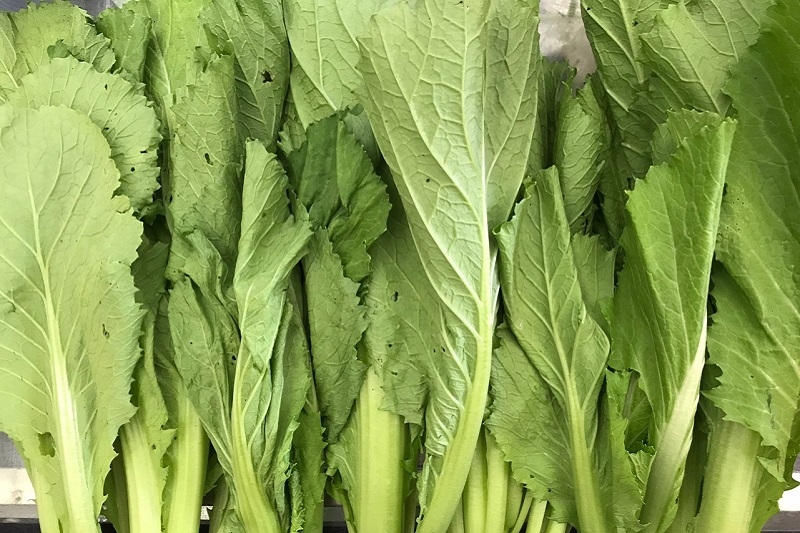 Cải bẹ xanh cuốn ảnh 16