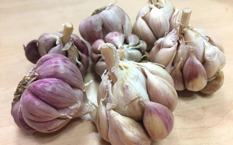 Cách chọn tỏi