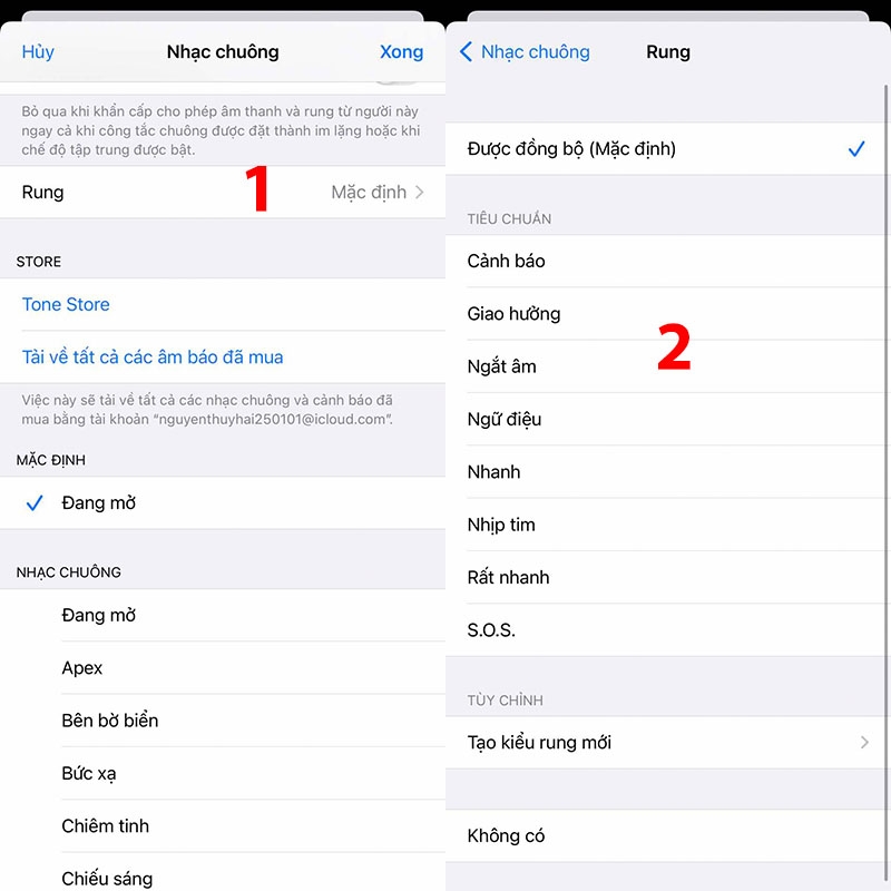 Cài đặt âm thanh cuộc gọi đến cho iPhone (Hình 10)
