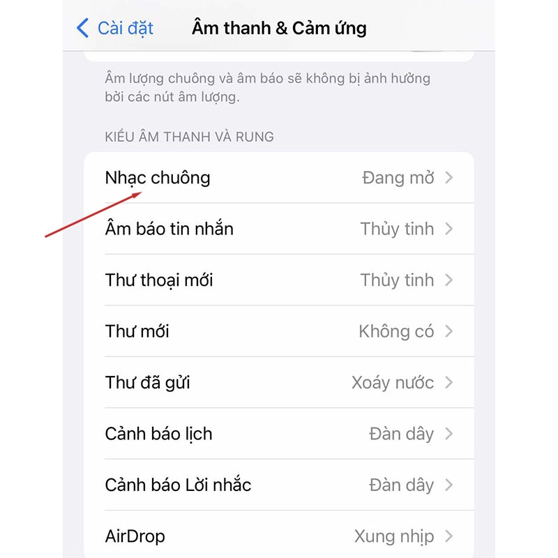 Cài đặt âm thanh cuộc gọi đến cho iPhone (Hình 4)