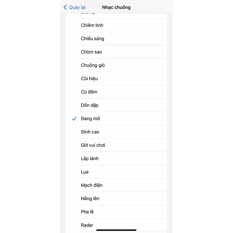 Cài đặt âm thanh cuộc gọi đến cho iPhone (Hình 6)
