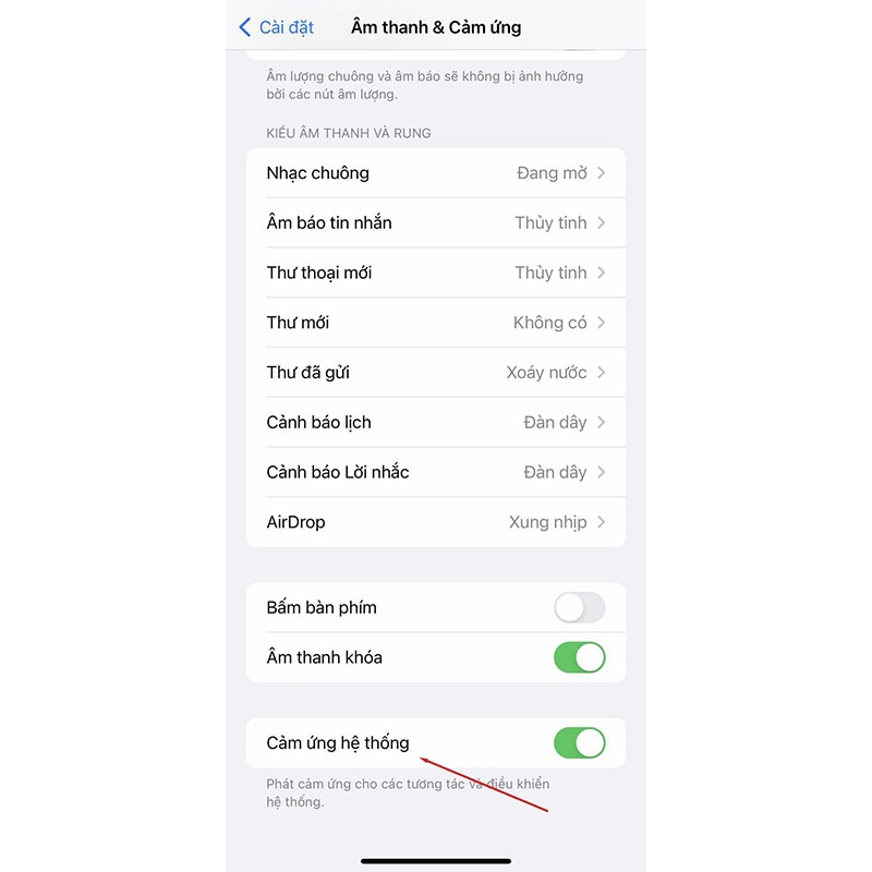 Cài đặt âm thanh cuộc gọi đến cho iPhone (Hình 7)