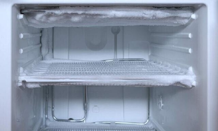 Cảm biến tủ lạnh Sharp (Hình 4)