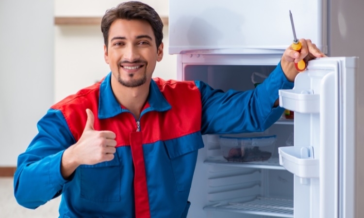 Cảm biến tủ lạnh Sharp (Hình 7)