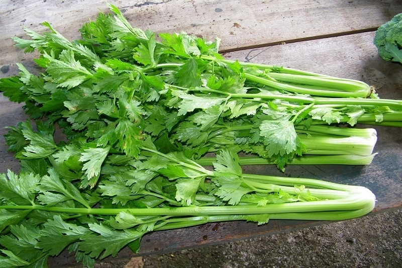 cần tây xào trứng 5