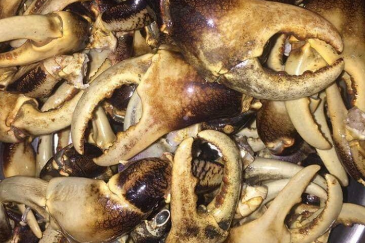 Càng cua đồng rang muối ớt hình 5