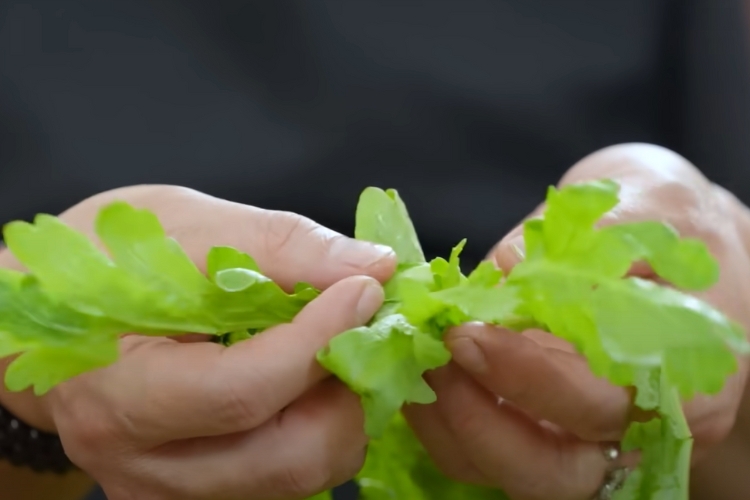 Bước 1: Sơ chế rau cải cúc