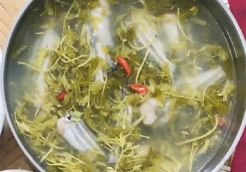 Canh chua cá chốt (hình 9)