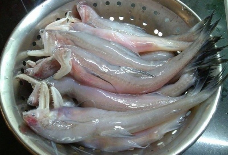 Canh chua cá khoai ảnh 1