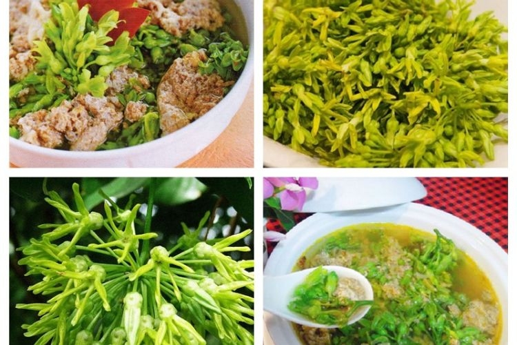 Canh cua hoa thiên lý