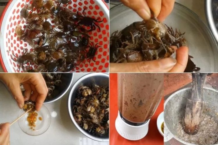 Canh cua hoa thiên lý