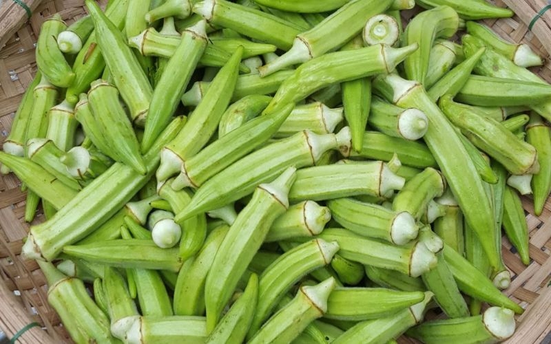 canh đậu bắp 3