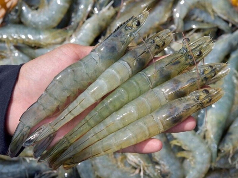 Canh khoai mỡ nấu tôm 2
