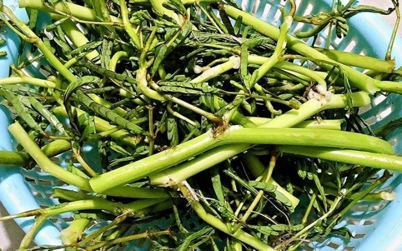 Cách chọn rau rút tươi ngon