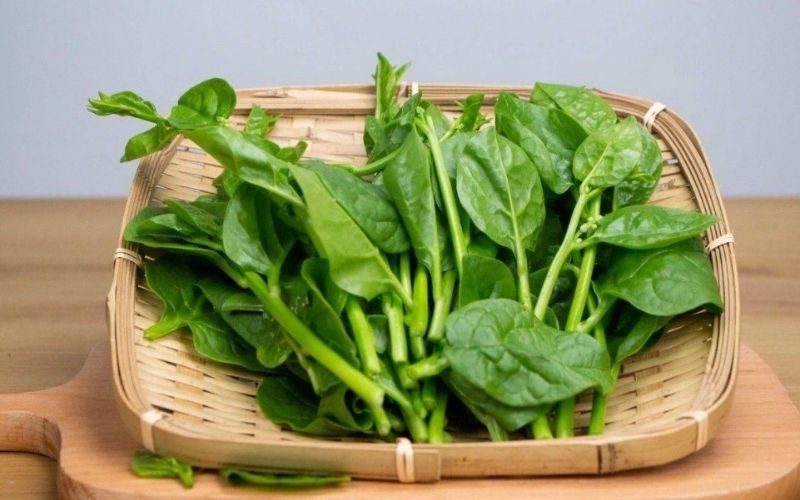 Cách chọn mồng tơi