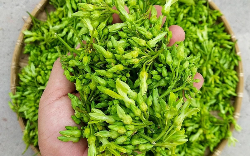 canh ngao hoa thiên lý (2).png