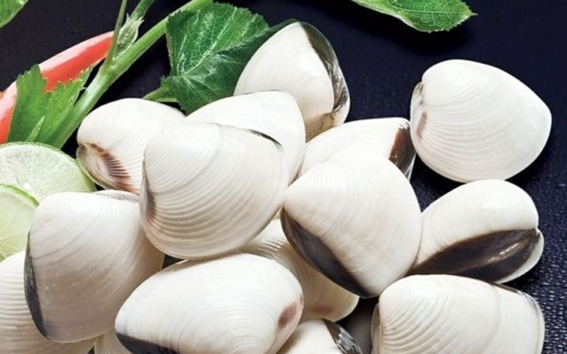 Cách lựa ngao tươi ngon