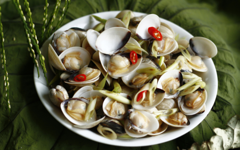 luộc ngao sạch và ngọt thịt