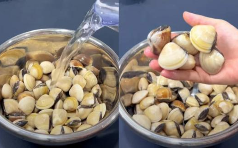 Rửa sạch vỏ ngao