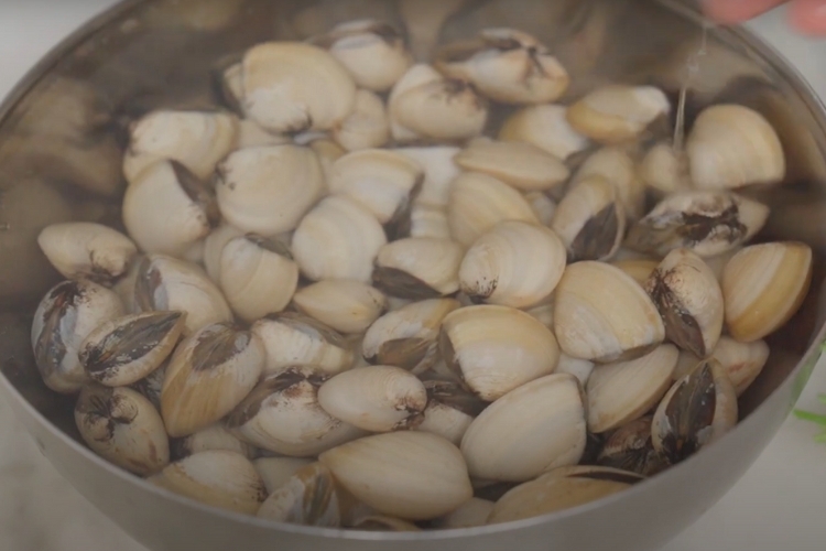 canh nghêu nấu bầu 1