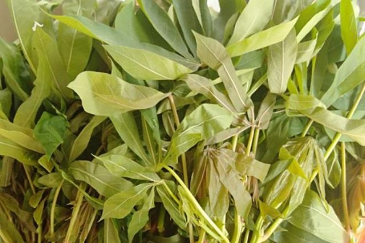 Canh rau sắn nấu cá